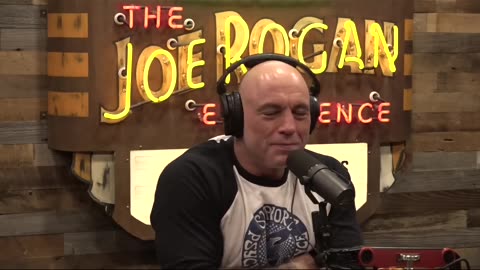 Fired for Drug Truths - Rick Doblin on JRE #rhabdo #psychedelics #maps