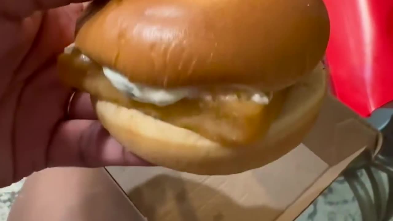 American ordered a McDonald's Filet-O-Fish sandwich and this is how small it got