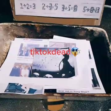 Tim Rifat TikTok Videos