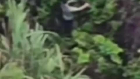 🛸😢 Myanmar War | Drone Captures Rebel Soldier's Tragic End After Bombing in Bhamo | RCF