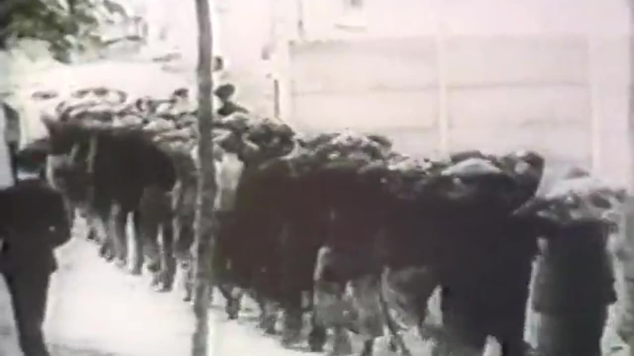 The Unknown War - Ep15 The Balkans to Vienna