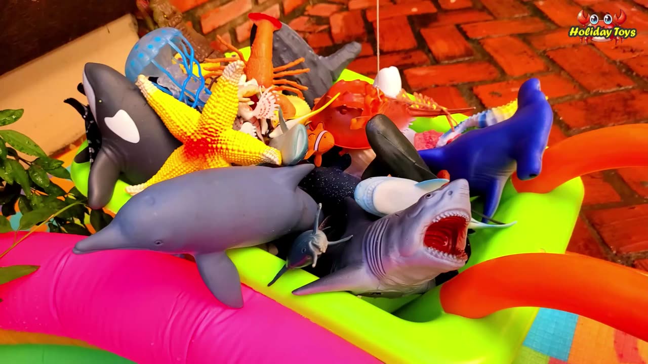 Five Worms Lined Up to Come Out of the Sand Pit for Lunch