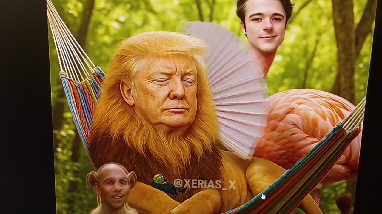 Funniest videos