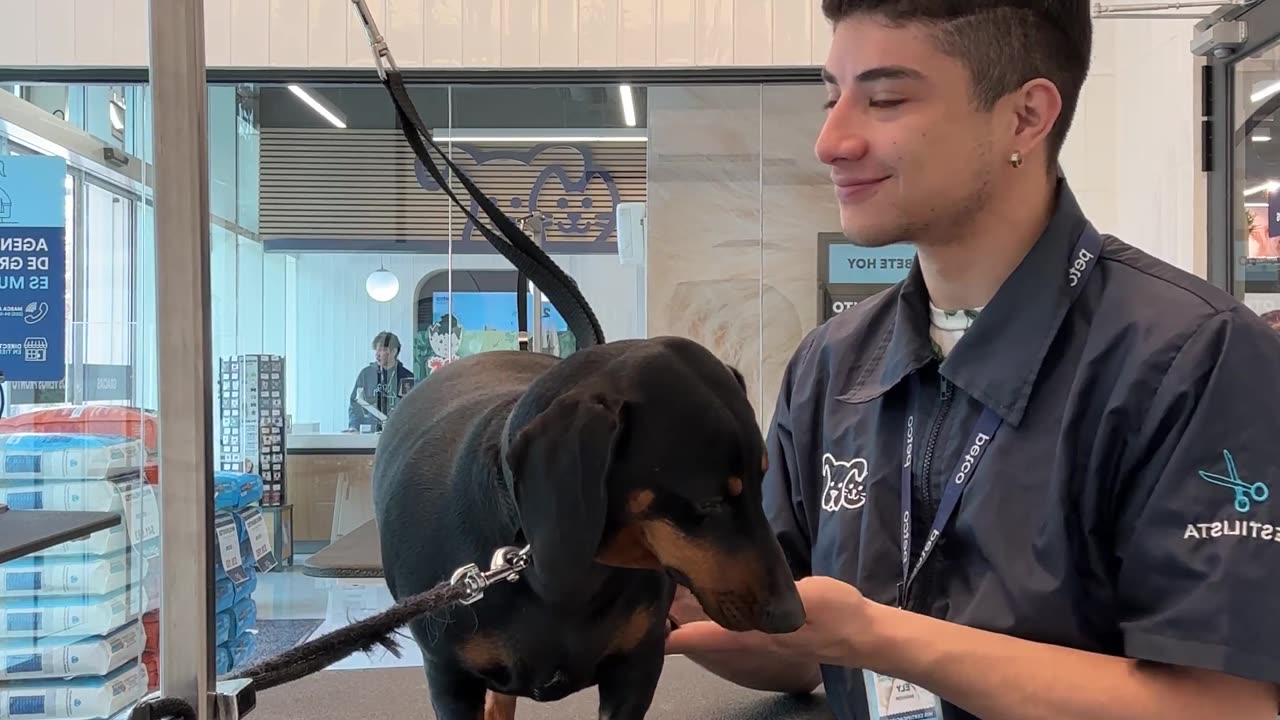 Pampering the Pup's Paws