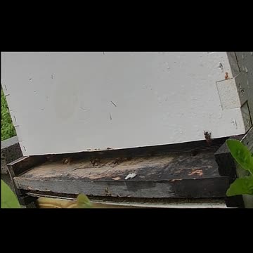 Saturday Morning Sun Up After Heavy Thunderstorms