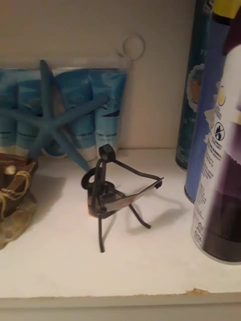 Redneck Bathroom Decor