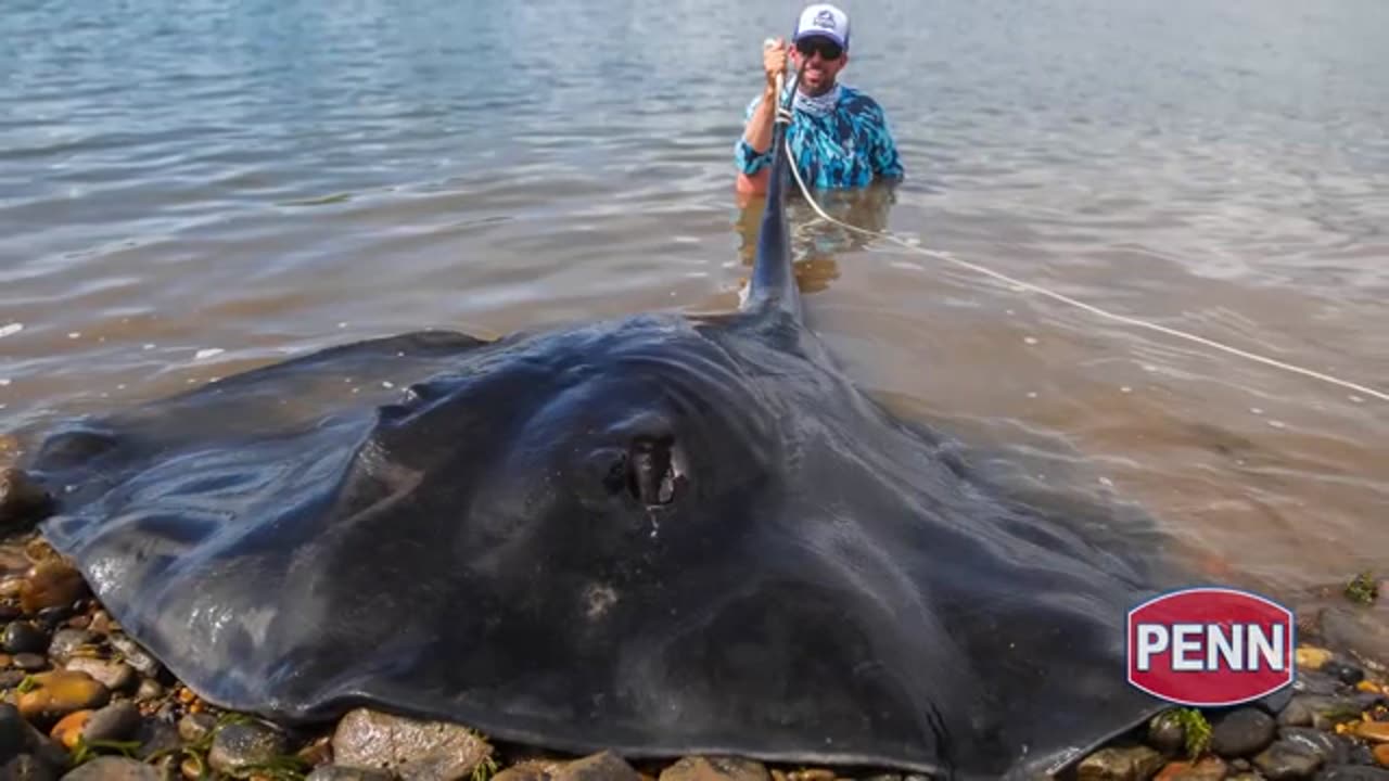 Giant Australian River Monster_part4