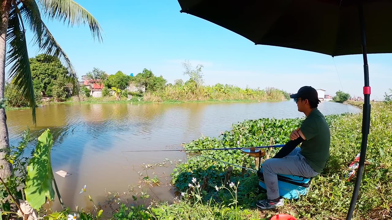 Fishing for Bream in a Serene Countryside Lake