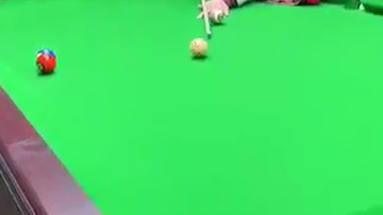 Funny video