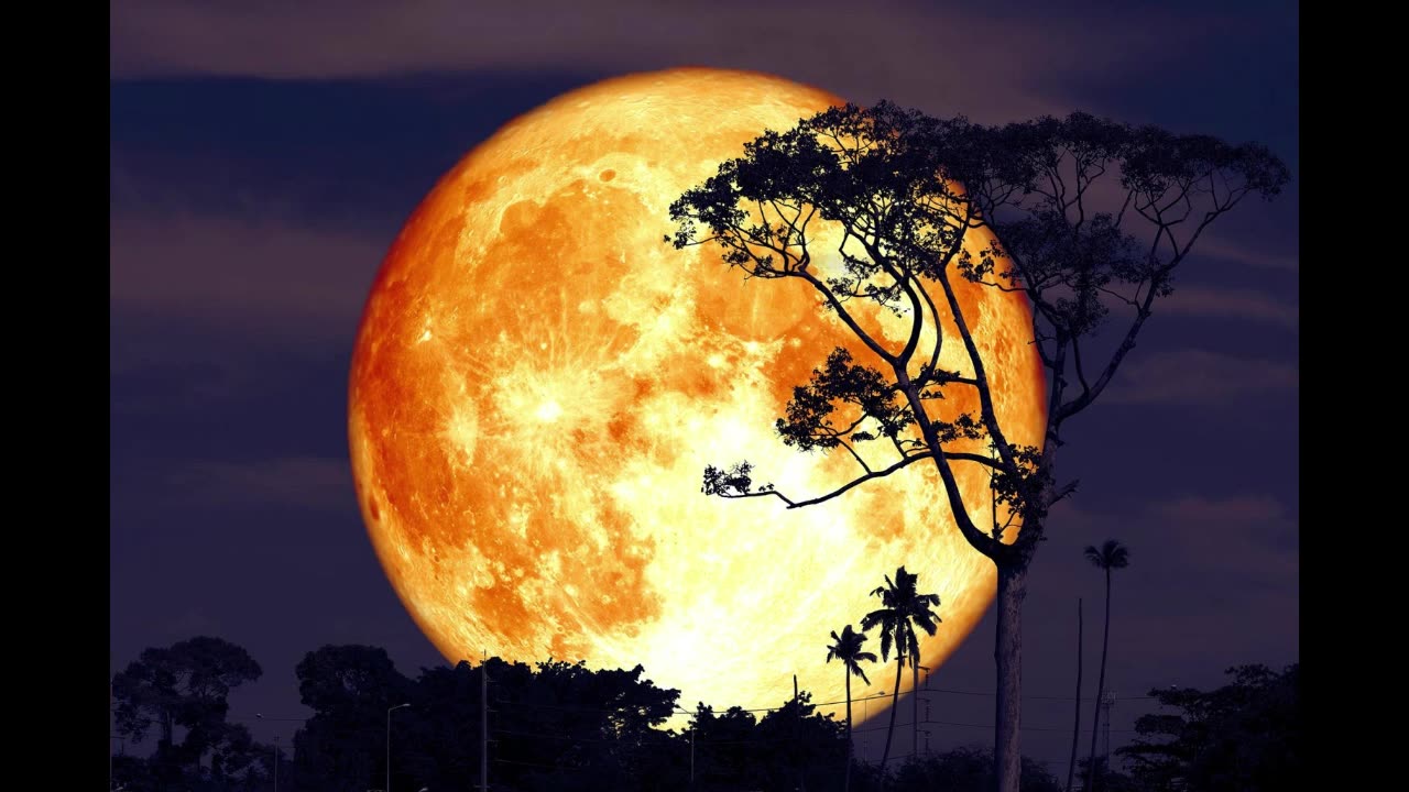 IstotaZycia ‐ Pełnia Księżyca 🔑🌖🌕🌔