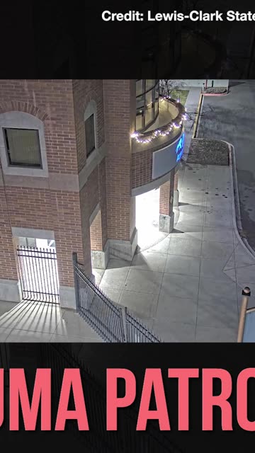 Puma Patrol! Mountain Lion Seen Roaming Idaho College Earlier This Month