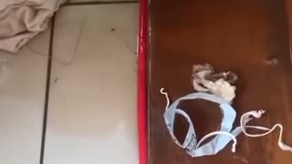 😂 One of Those Days? This is HILARIOUS! | FunFM
