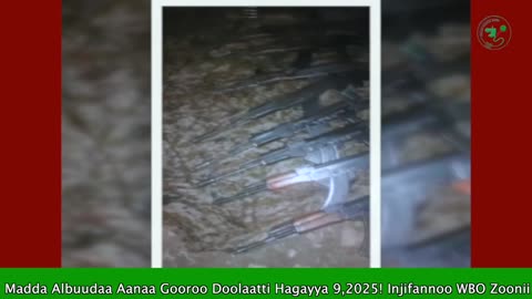ONM-ABO Hagayya 10-2025 itti dhiyaadhaa!