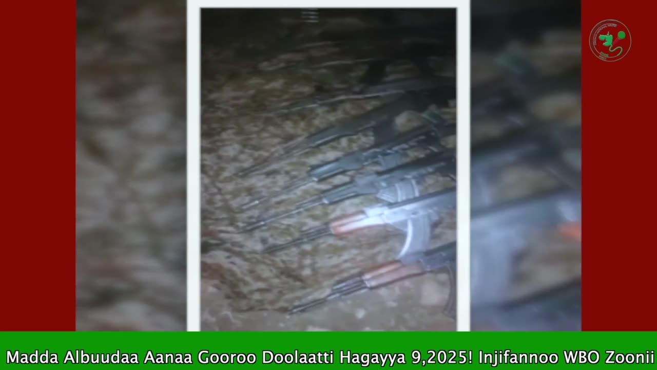 ONM-ABO Hagayya 10-2025 itti dhiyaadhaa!