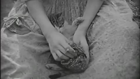 The Love Flower (1920) director D. W. Griffith