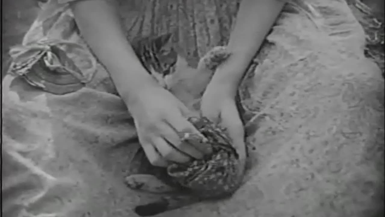 The Love Flower (1920) director D. W. Griffith