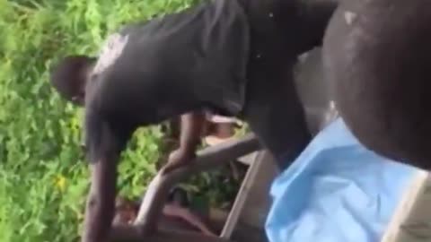 the average sub Saharan negro is developmentally disabled by Western standards