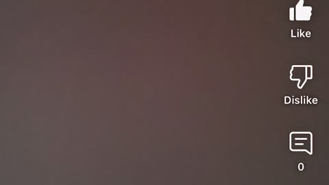 Azizie 3 dierenarts deel1