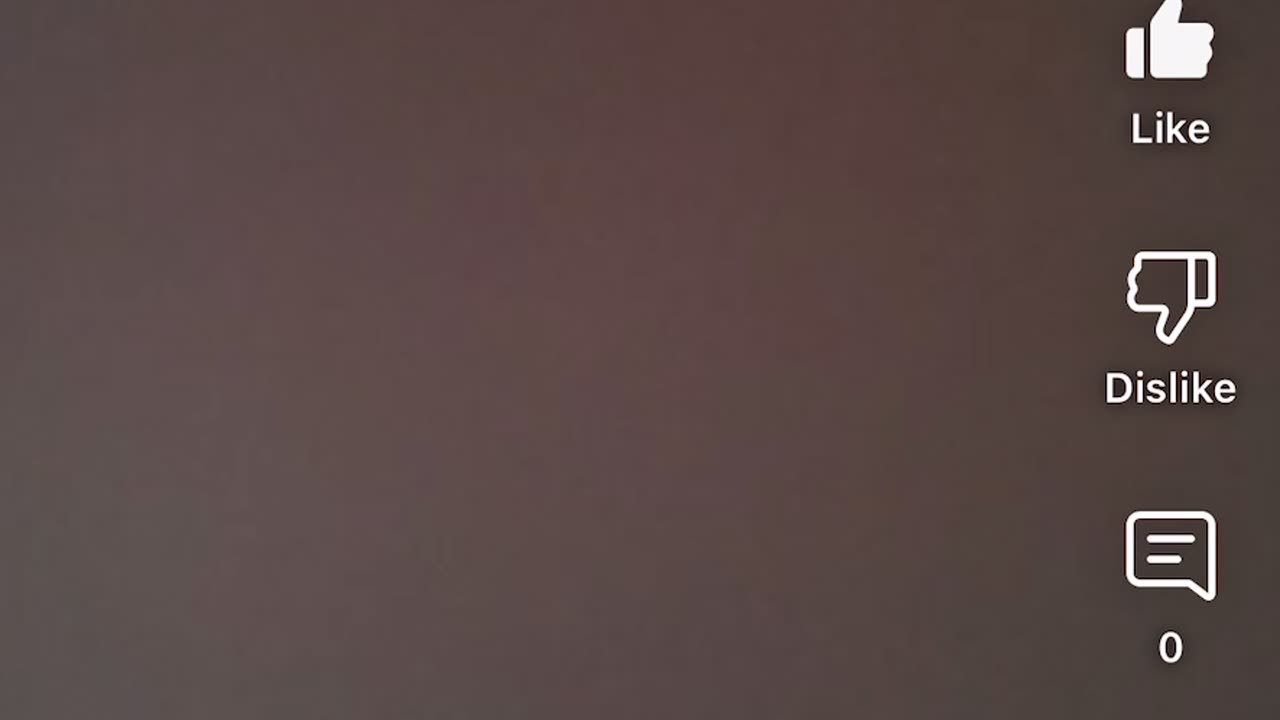 Azizie 3 dierenarts deel1