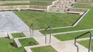Muzzle Flash Reveals TRUE Shooter Location in Charlie Kirk Murder (If There IS a Shooter)