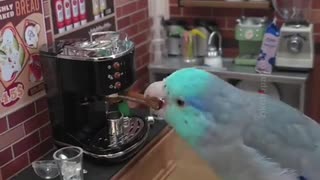 😂😂 I'd Go To This Crazy Café Every Day! #Cringe | FunFM