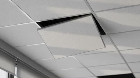 Perfect Ceilings Aren’t Magic — They’re Measurement.