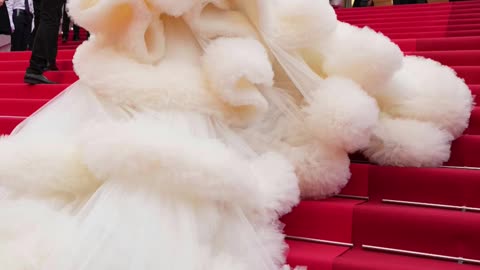 Cannes 2025 Dress Code Ban: No More Naked Dresses on the Red Carpet! - WorldEye