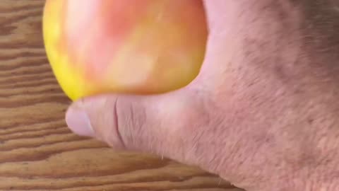 Ever had a Great White Tomato? Unique and Delicious!