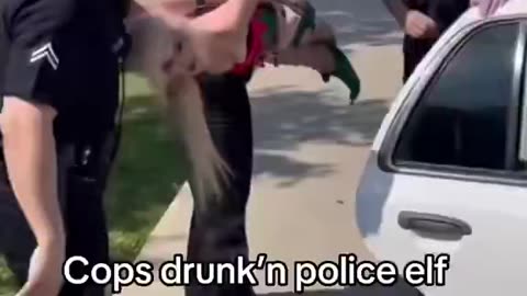 Drunk Elf