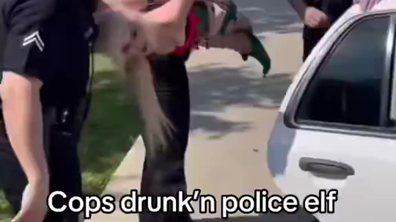 Drunk Elf