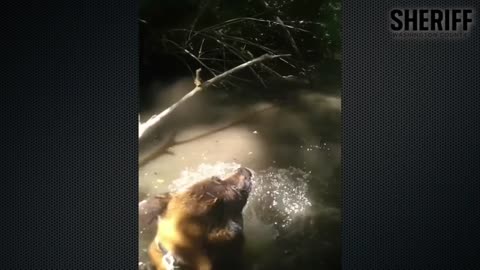 Washington County Deputy K-9 Unit Locates Assault Suspect