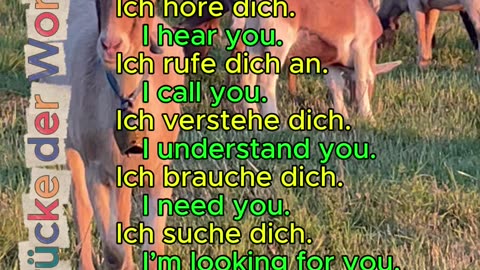 Deutsch alltägliche Sätze / German everyday sentences