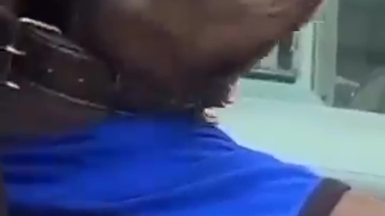 Cat funny comedy scene