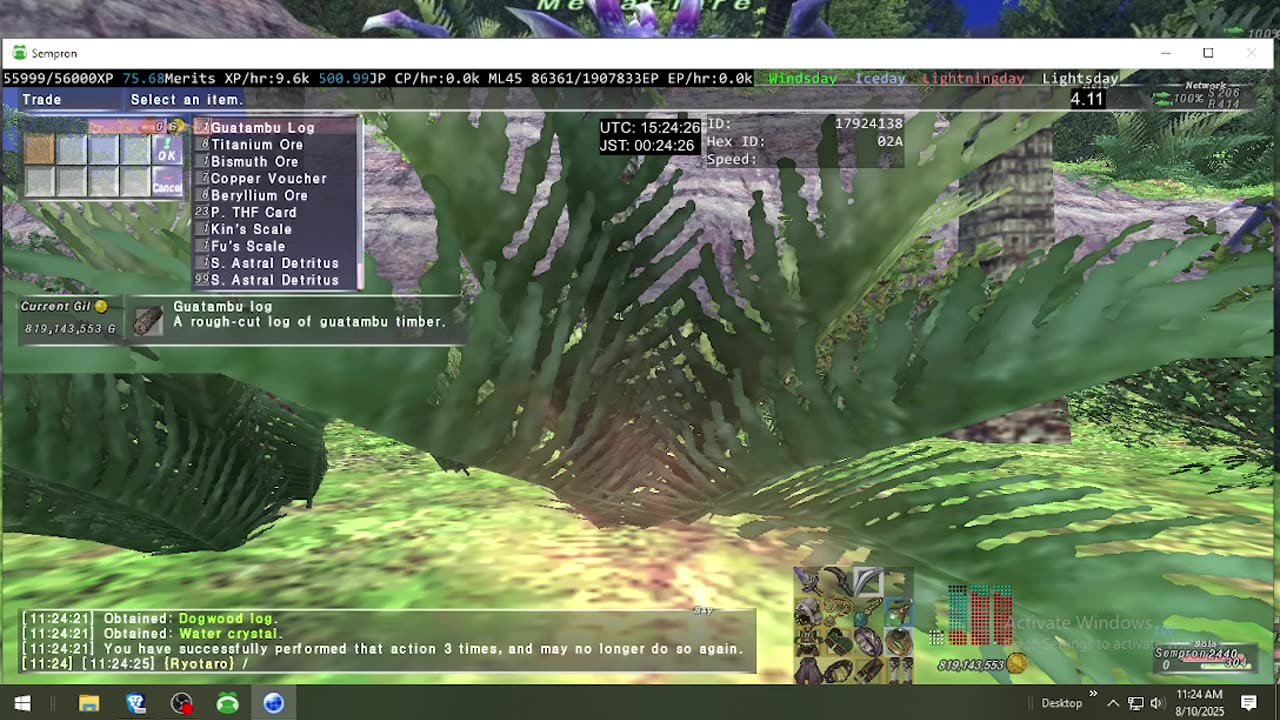 Playing Final Fantasy XI Online
