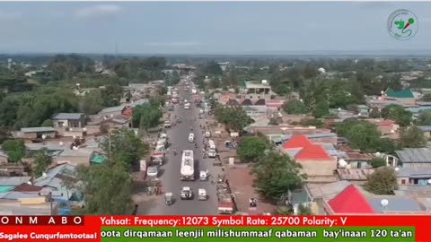 Oduu Waaree ONM-ABO Onkoloolessa 19-2025 itti dhiyaadhaa!