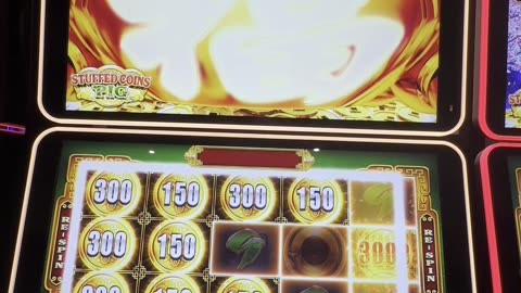 Stuffed Coins Golden Pig Bonus 🐷🎰🎊