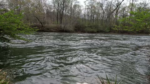 Mediation - Chattahoochee River