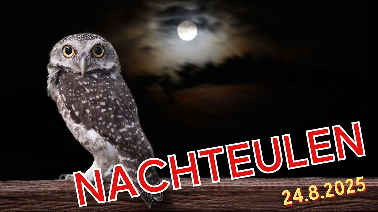 Nachteulen - 24.08.2025
