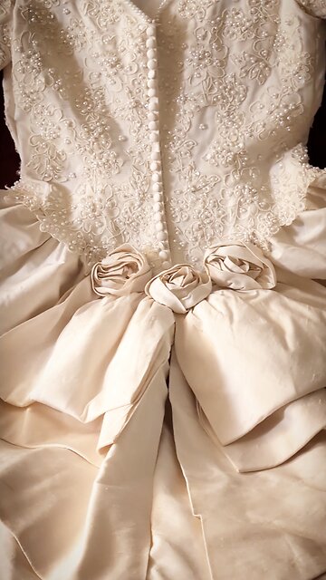 ✨Dream Wedding Dress✨