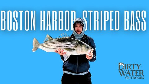 Boston Harbor was INSANE this morning! | Boston Harbor Striper Fishing