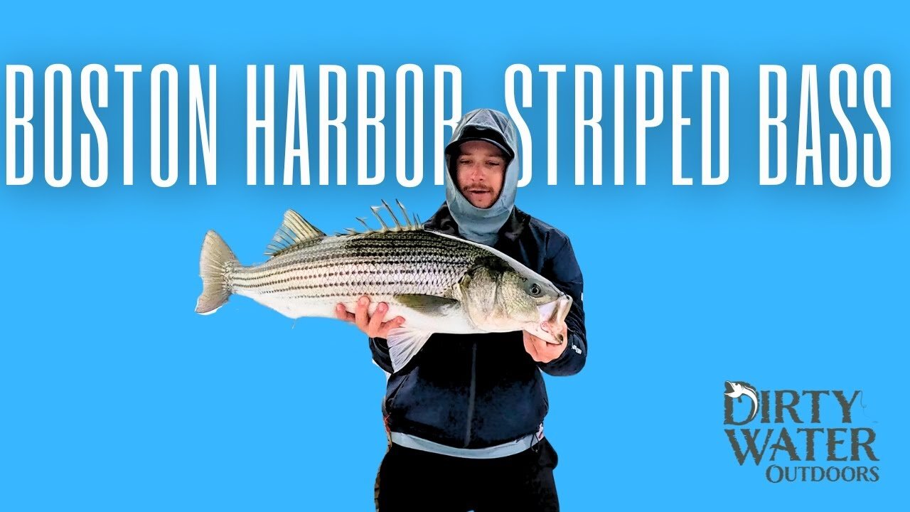 Boston Harbor was INSANE this morning! | Boston Harbor Striper Fishing