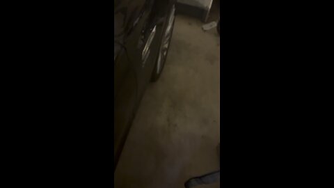 Is the dog waiting for me