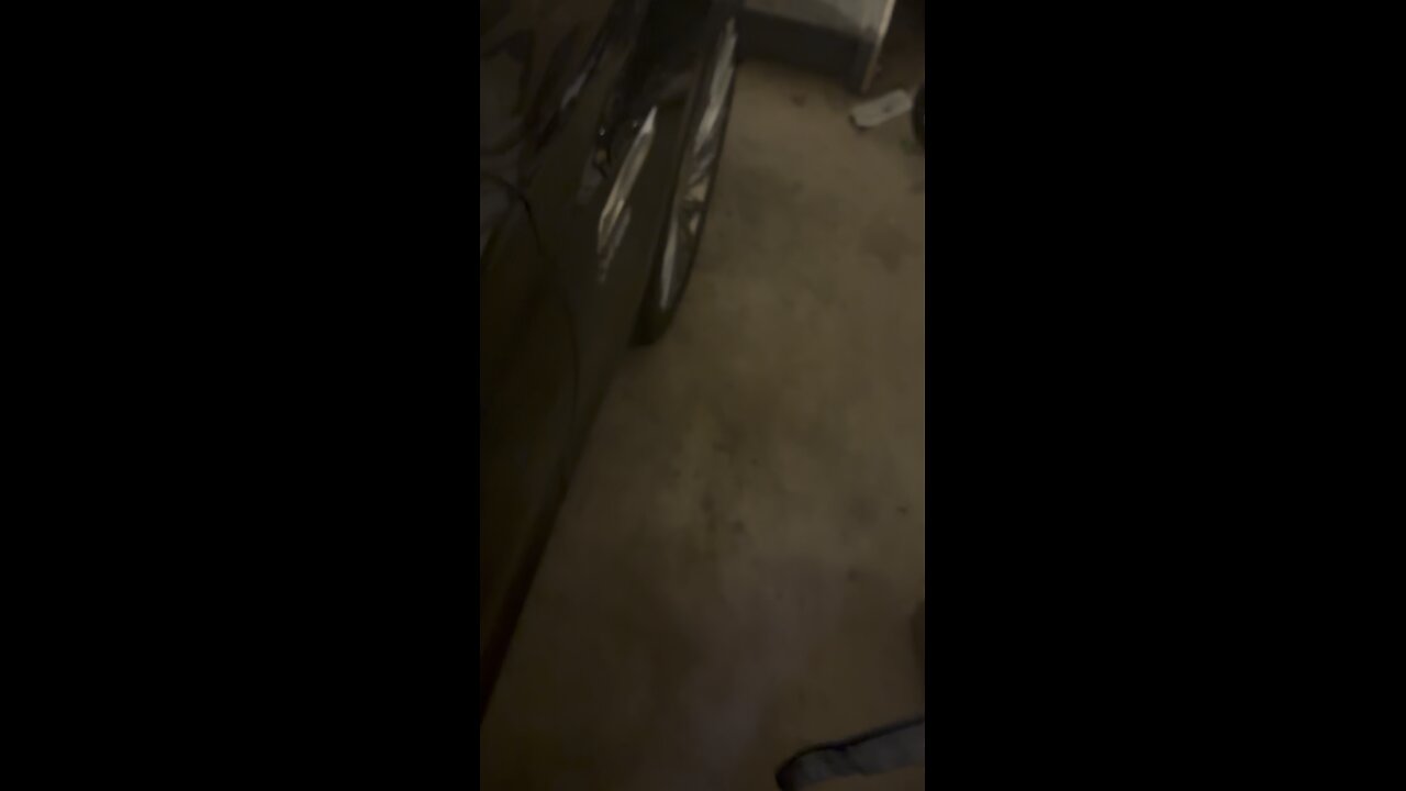 Is the dog waiting for me