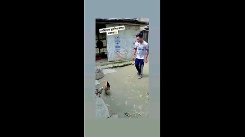 तेरी ऐसी की तैसी