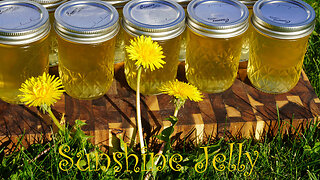 Sunshine Jelly [Dandelion Jelly] Canning Recipe