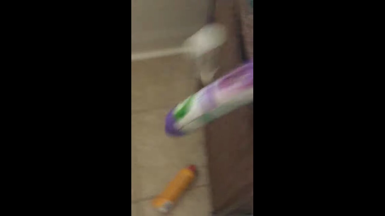 Everybody do the flop!