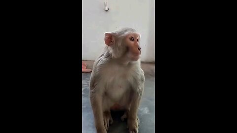 उउउउउउउ