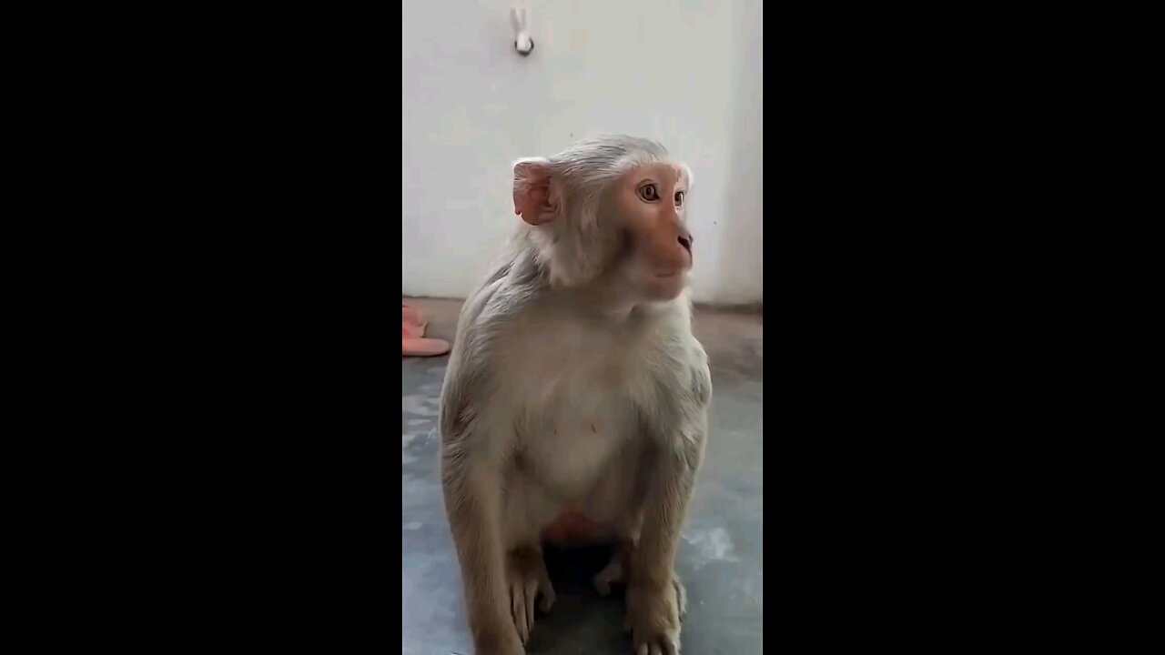 उउउउउउउ