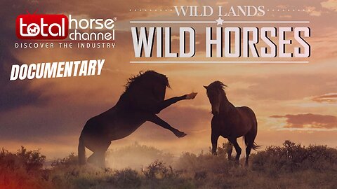 Wild Lands Wild Horses - Documentary