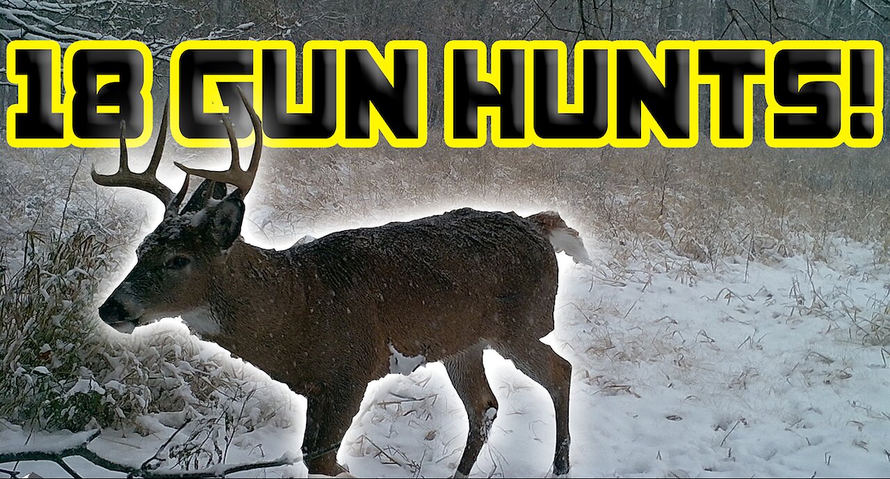 18 Gun Hunts in 10 Minutes!